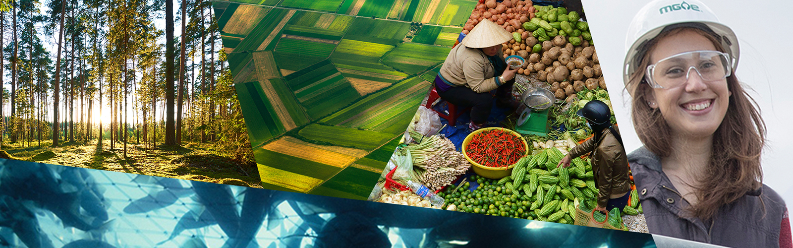 Hero - Agricultual and Applied Economics Photo